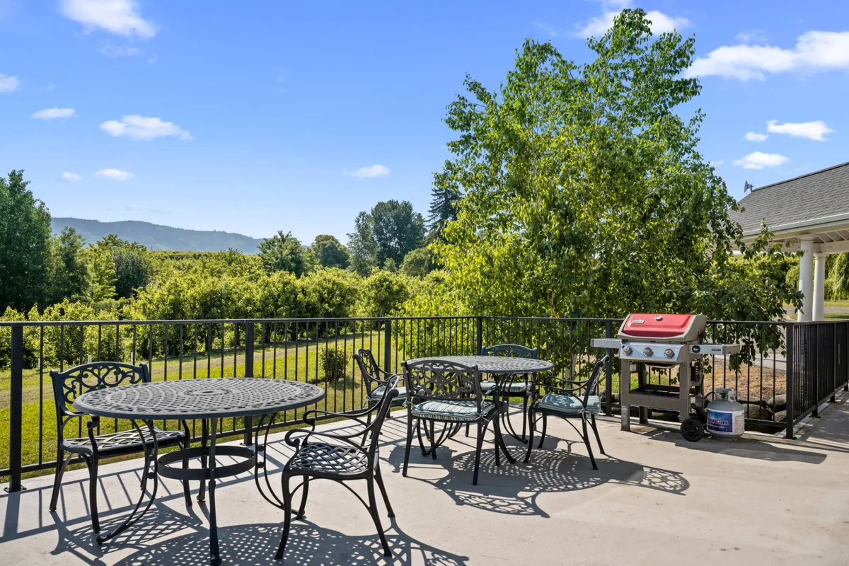 This exterior image showcases a spacious outdoor dining table set on a patio, accompanied by a grill and surrounded by lush greenery. In the distance, a beautiful view of the mountains is visible, creating an inviting atmosphere for gatherings and outdoor relaxation. The setup suggests lively barbecues and group celebrations in a scenic natural environment.