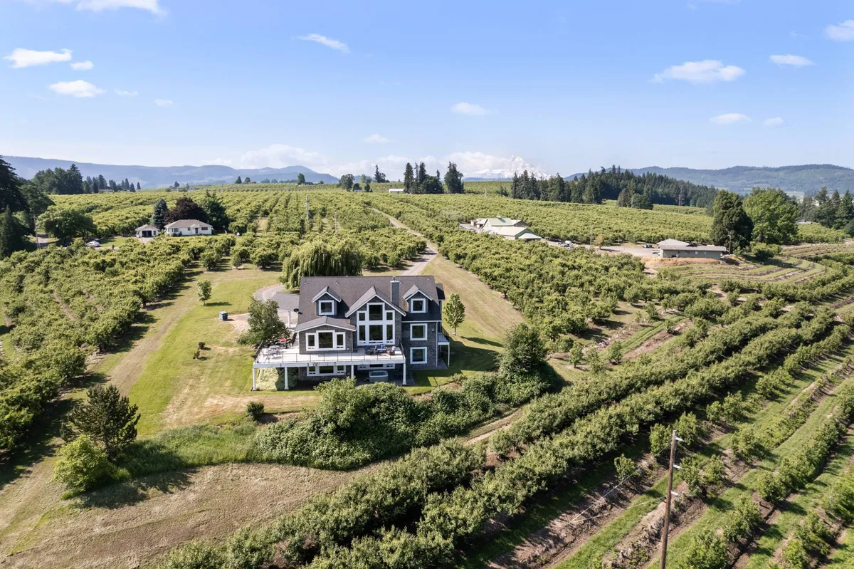 This image captures a historic farmhouse set amidst an expansive vineyard with a breathtaking mountain backdrop. The peaceful scene includes rows of grapevines stretching into the distance, inviting visitors to imagine wine tastings, picnics, and farm tours right outside the estate. The golden light of sunset enhances the inviting rural charm and sense of open space.
