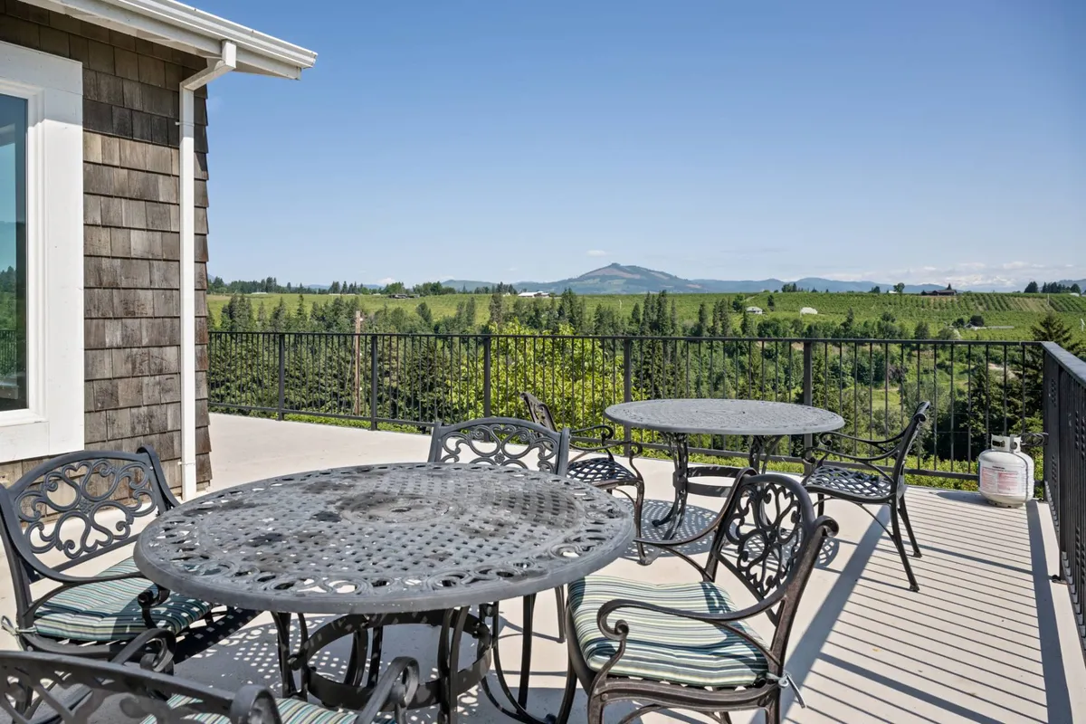 A peaceful patio scene overlooks lush green vineyards with a dramatic mountain view in the distance. Decorative metal tables offer a spot for outdoor dining or coffee, with the landscape inviting guests to relax and enjoy the scenery. The setting embodies tranquility and rural beauty, ideal for family gatherings or starting a day of exploration.
